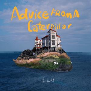 航空公司乘务长吕艳王静
