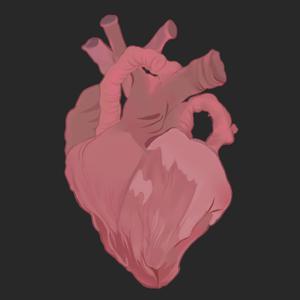 航空公司乘务长吕艳王静
