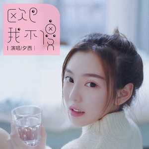 航空公司乘务长吕艳王静
