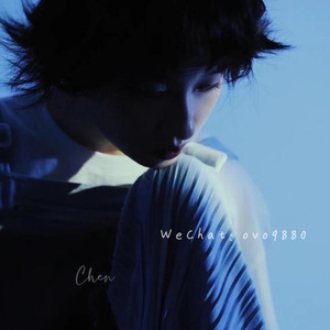 航空公司乘务长吕艳王静
